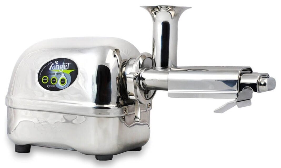 Angel Juicer 5500